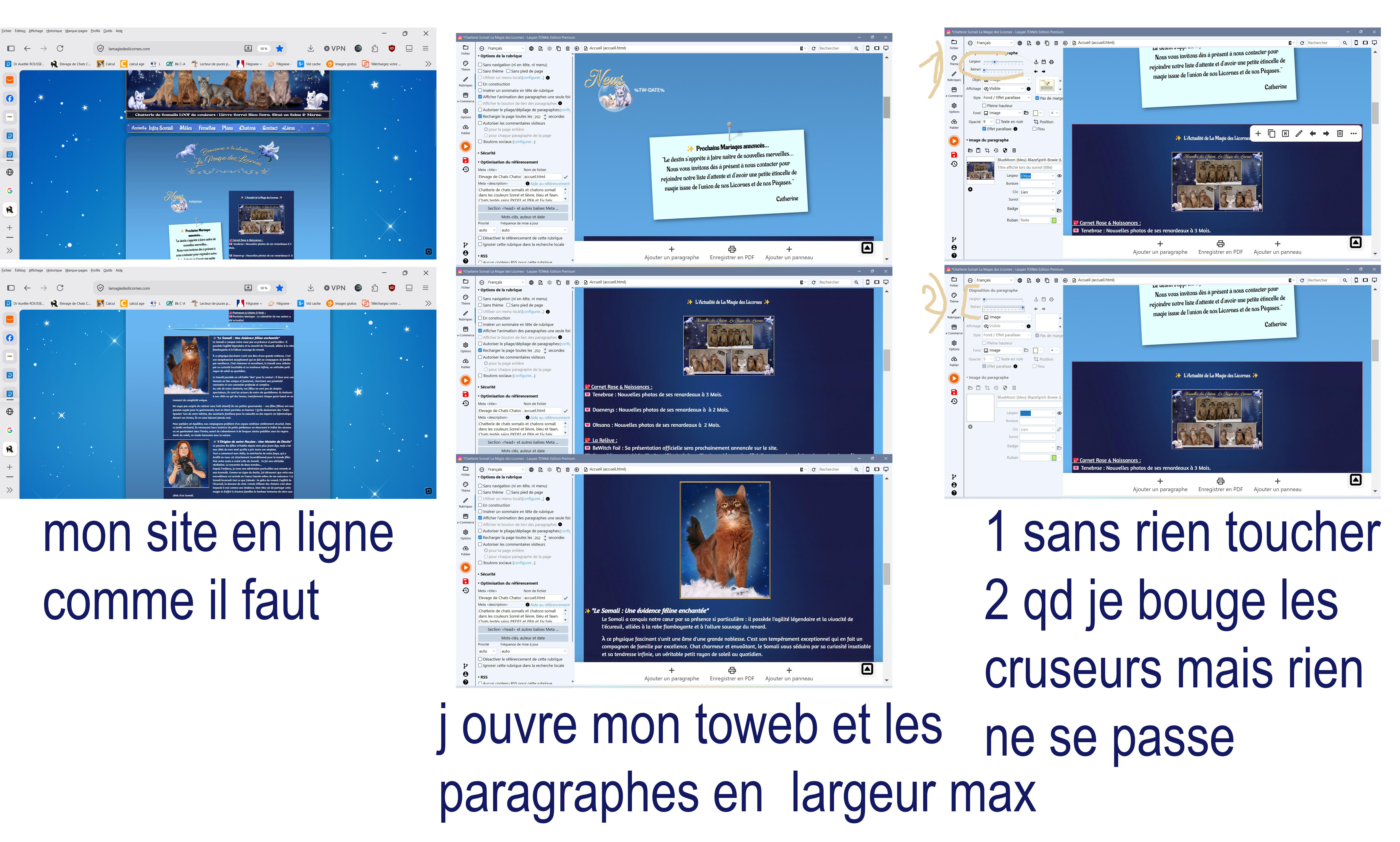 sans-titre-1.jpg